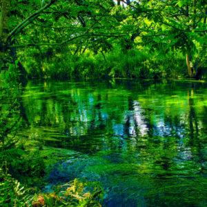 Services 22085117 M 300x300